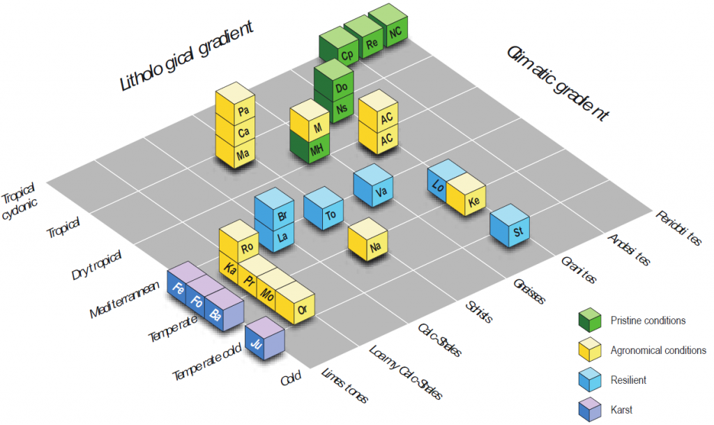 Diagram_RBV